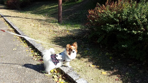 鶴見⑩