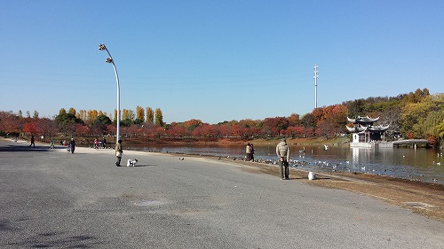 鶴見⑦