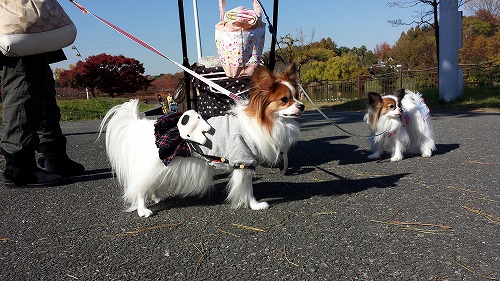 鶴見⑥