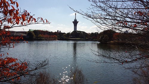 鶴見⑮