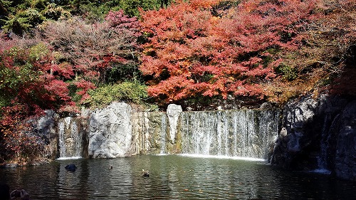 鶴見⑫