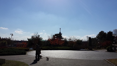 鶴見⑯
