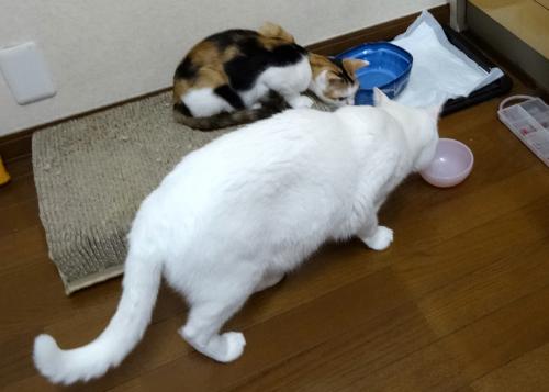 待ってたのに!!