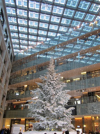 IMG_9525.jpg