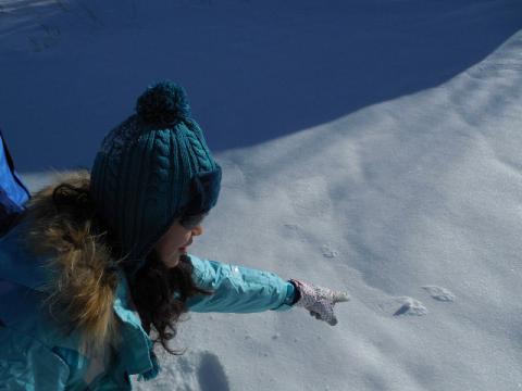 DSCN1393.jpg