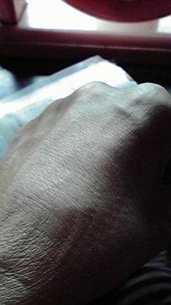 P1000620.jpg
