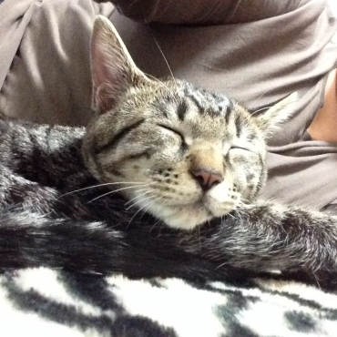 kon_20131223225605667.jpg