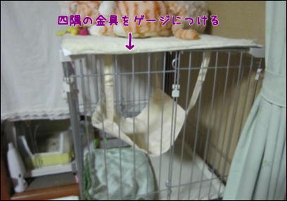 Ha2011090411_3