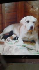 moblog_e6226c16.jpg