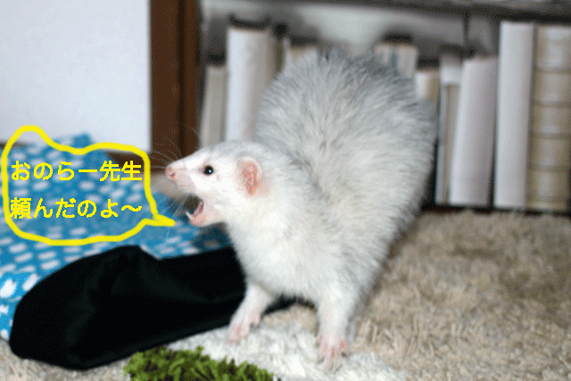 140919b.gif