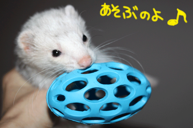 140921b.gif
