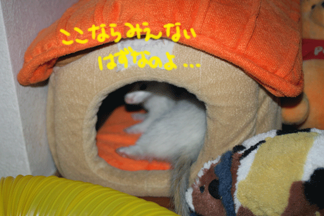 140921f.gif