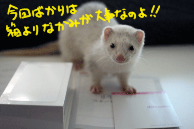 140923b.gif