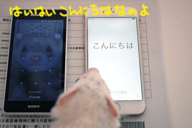 140923c.gif