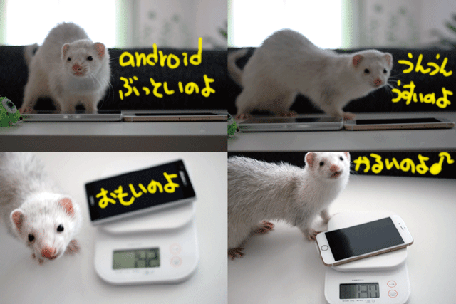 140923d.gif