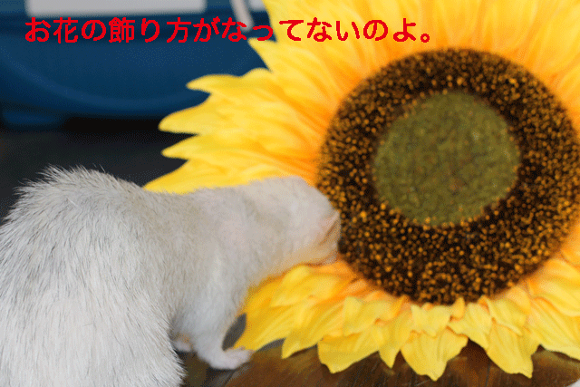 140925a.gif