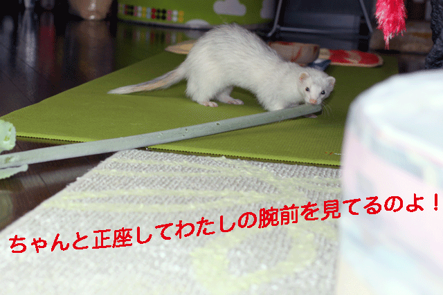140925b.gif