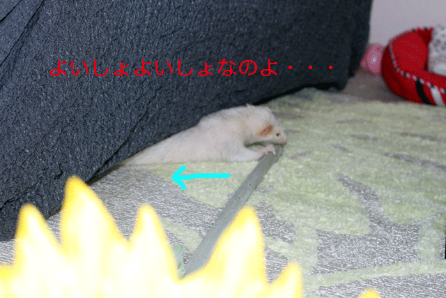 140925c.gif