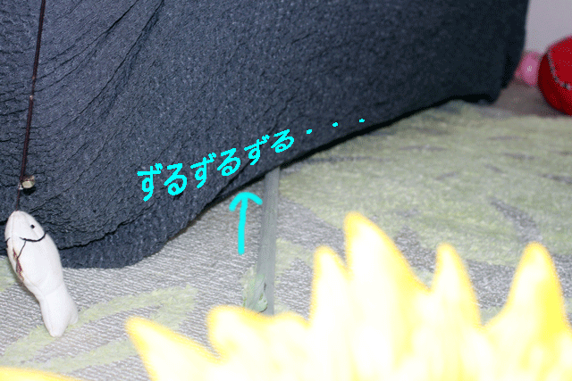140925d.gif
