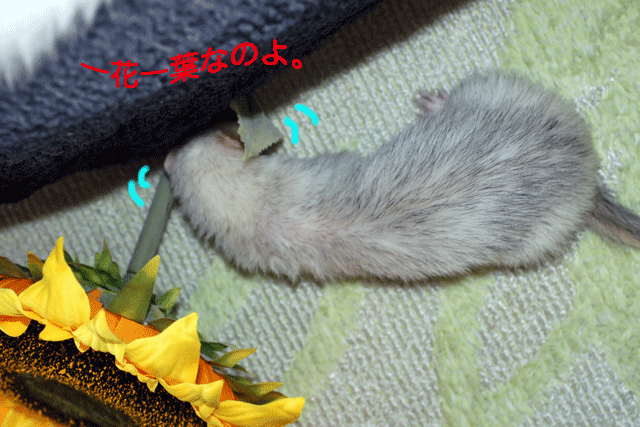 140925e.gif