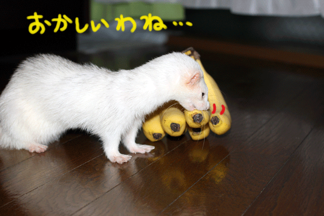 140926b.gif