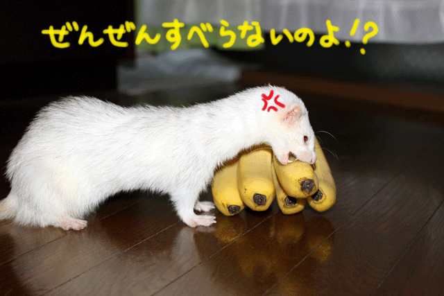 140926c.gif