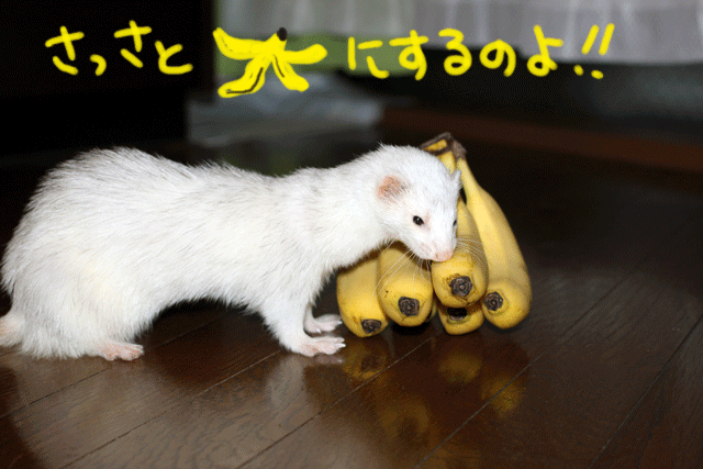 140926d.gif
