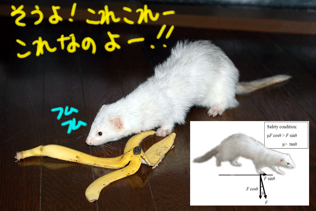 140926e.gif