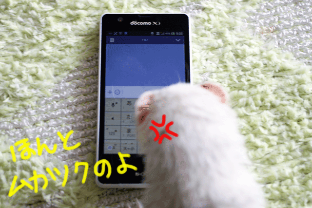 140927a.gif