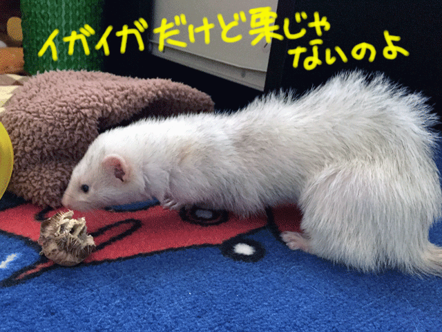 140928a.gif