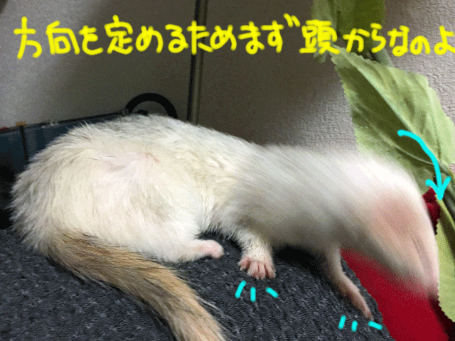 140929a.gif