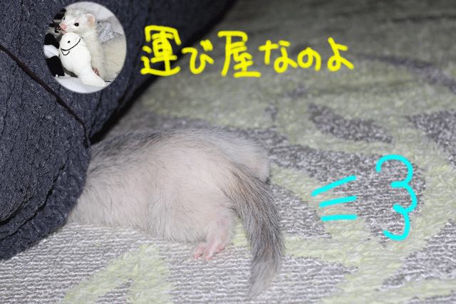140929b.gif