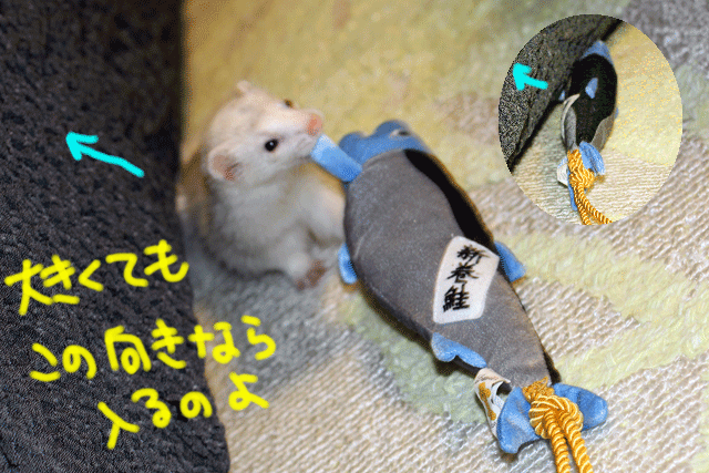 140929e.gif