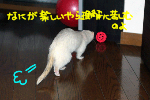 140930b.gif