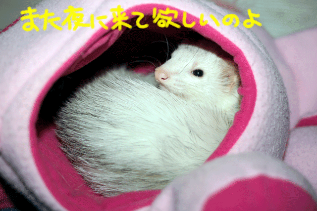 141001a.gif
