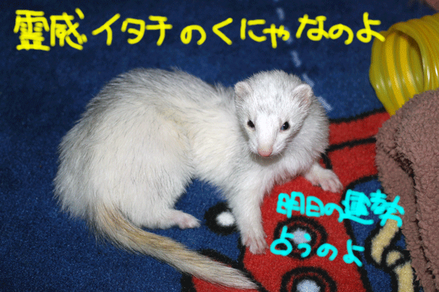 141001b.gif