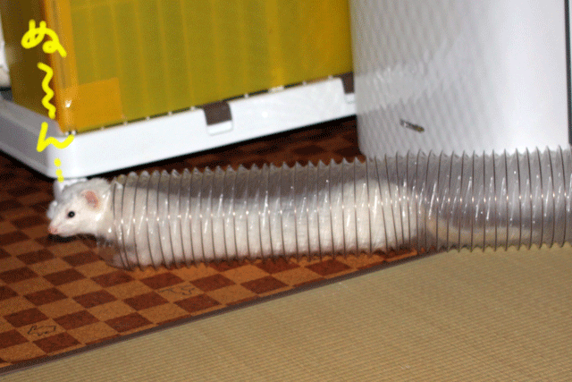 141001c.gif