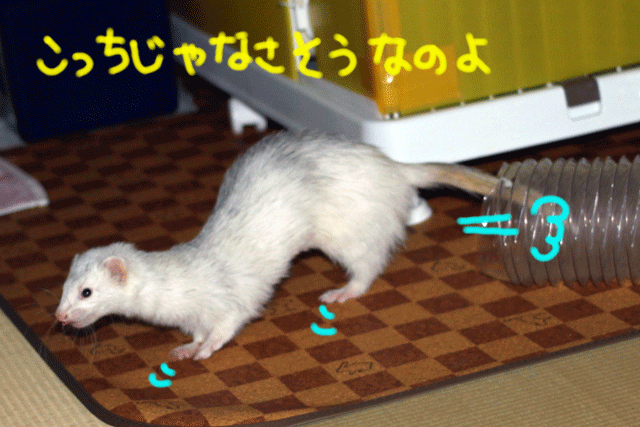 141001d.gif
