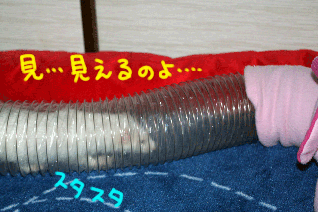 141001f.gif