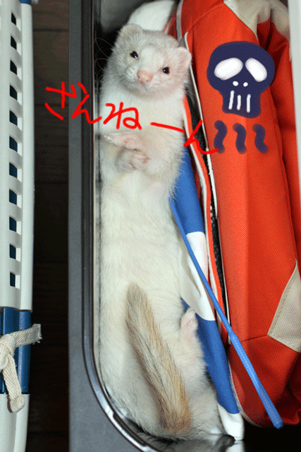 141001g.gif
