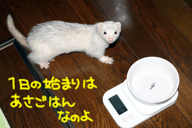 141002a.gif