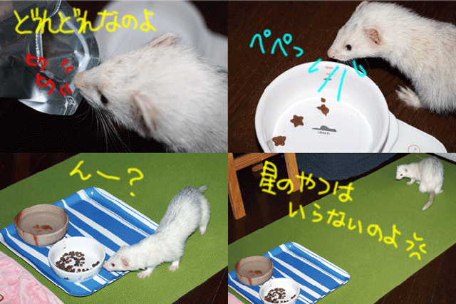 141002c.gif