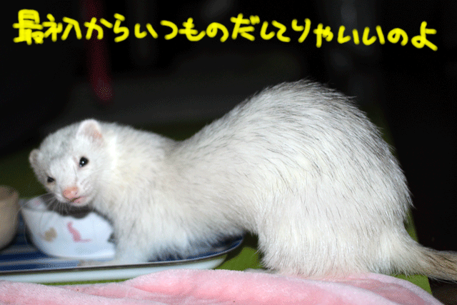 141002d.gif
