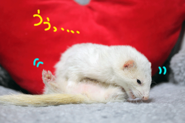 141003b.gif