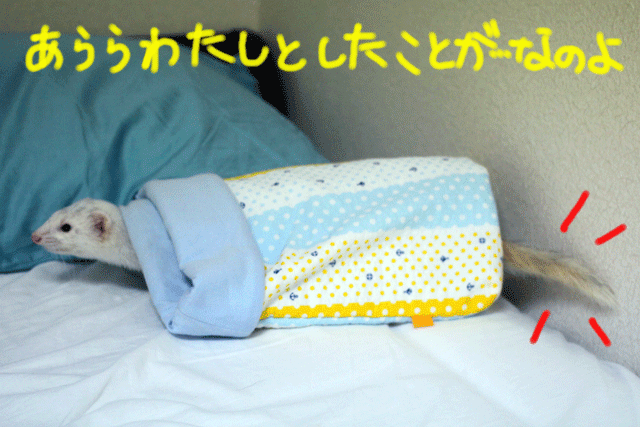 141004a.gif