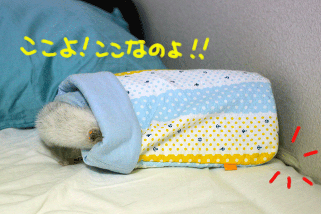 141004c.gif