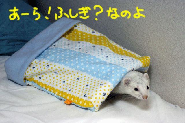 141004e.gif