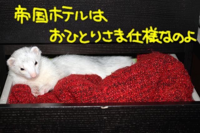 141005a.gif