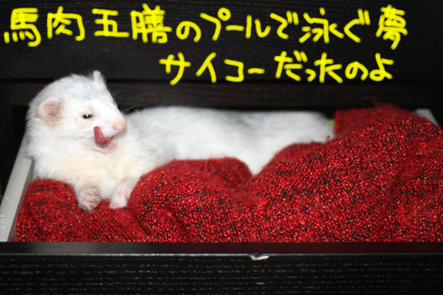 141005b.gif