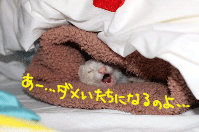 141005e.gif